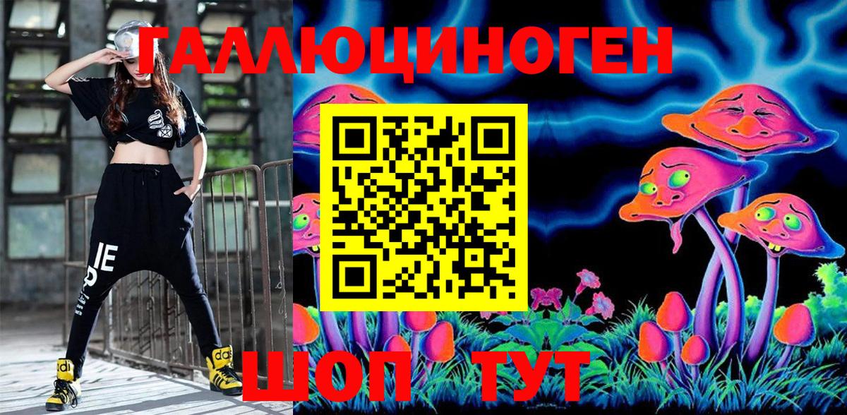 Галлюциногенные грибы Psilocybine cubensis Волгоград